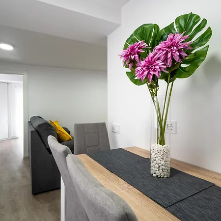 Piso Nuevo En El Centro De Apartamento Santander